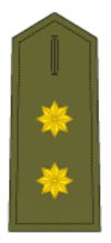 Teniente coronel