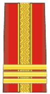 Colonel